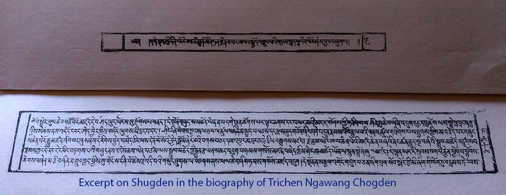 Excerpt on Shugden in the biography of Trichen Ngawang Chogden