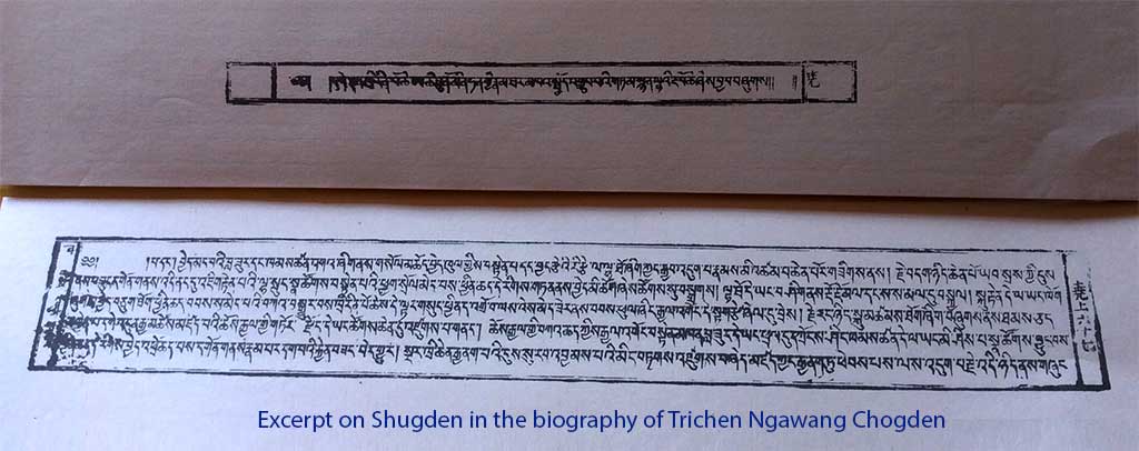 Excerpt on Shugden in the biography of Trichen Ngawang Chogden