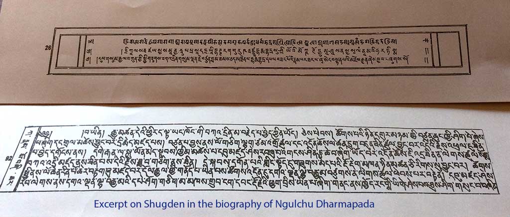 Excerpt on Shugden in the biography of Ngulchu Dharmapada
